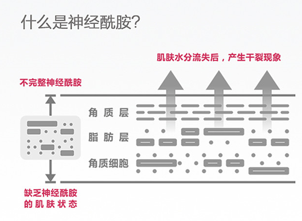1TB2rwS5cipnpuFjSZFIXXXh2VXa_!!2364994151_副本_副本.jpg